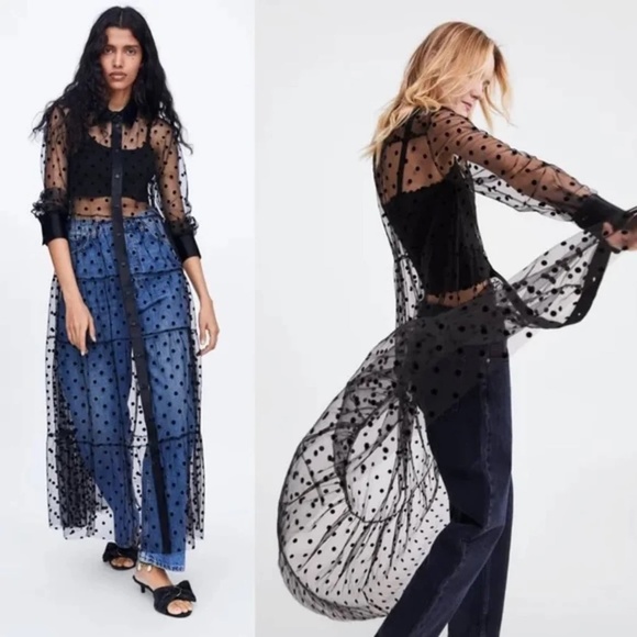 Zara Dresses & Skirts - ZARA Blogger Fave Sheer Black Polka Dot Tulle Button-down Long Sleeve Dress M